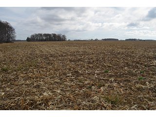 Property photo 12 - LAND AUCTION - 276.5+/- ACRES OFFERED IN 5 TRACTS IN EAST ALLEN COUNTY